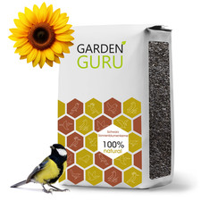 Sonnenblumenkerne Schwarz