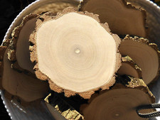 10 x Holzscheiben Astscheiben