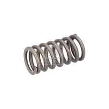 FEBI BILSTEIN Ventilfeder