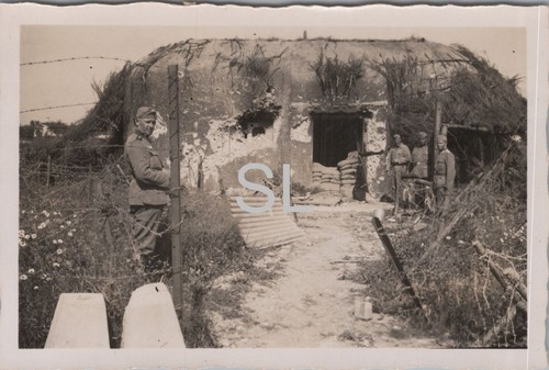 Foto veterinär komp 211 - foto,
