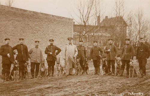 Wk1 foto soldaten hundestaffel - soldaten,