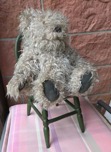 Sammler teddybär - sammler,