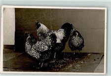 39191787 - Gefluegel Silber