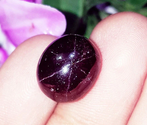 100 natürlicher star ruby - natürlicher,