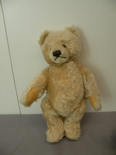 Steiff tier teddybär mit - steiff-tier,,