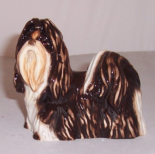 John beswick shih - john,