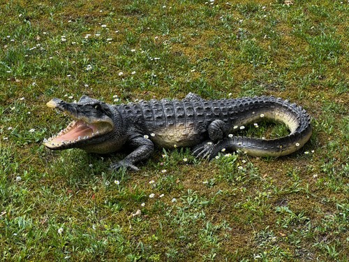 Gartenfigur krokodil garten - gartenfigur,
