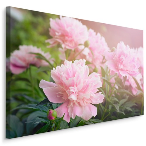 Canvas leinwand bilder xxl - canvas,