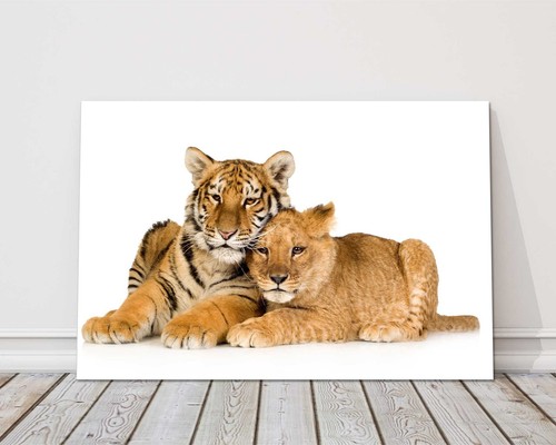Tiger und löwe junges - tiger,