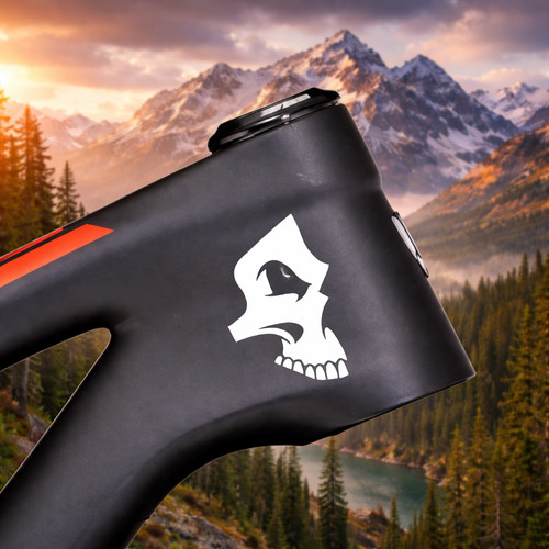 Totenkopf punisher bike - totenkopf,