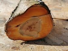 Drechselholz Bastelholz Edelholz Apfel Kirsche Eiche Mirabelle