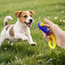 Trixie 2288 Dog Activity