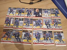 DEL 2 Playercards SC Riessersee Eishockey