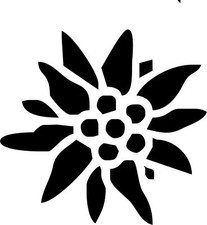 Autoaufkleber Edelweiß 001