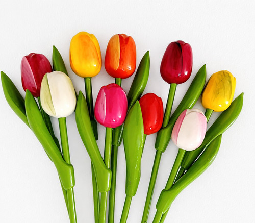 Holland holztulpen tulpen - 9,