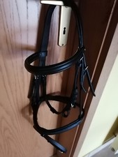 Englisches Reithalfter Pony, schwarz, mit Gurtzügeln und Sperrriemen, 