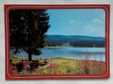 Scheibe-Alsbach im Thür. Wald . Ansichtskarte ungelaufen