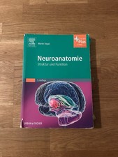 Neuroanatomie: Struktur und