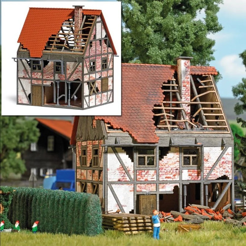 Busch 1667 verfallenes - 1667,