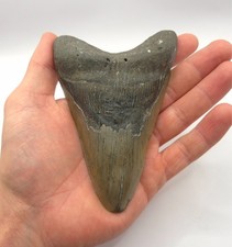 13,5 cm Kantenlänge 