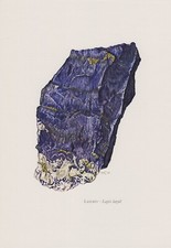Lasurit Lapis lazuli Farbdruck 1967 Mineralien Gesteine C. Caspari
