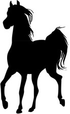 Aufkleber pferd - aufkleber,