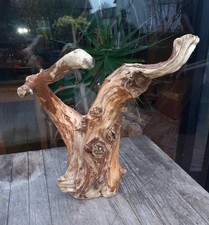 3 XL Treibholz Schwemmholz