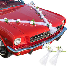 prächtige Autogirlande