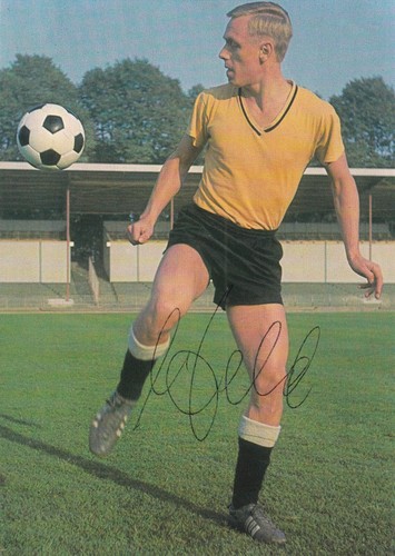 Sigfried held aral karte - sigfried,