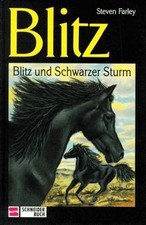 Blitz, Bd.15, Blitz und