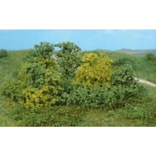 Heki 1646 Naturbüsche (20