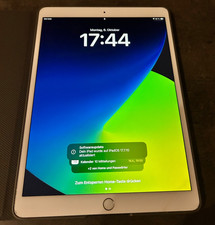 iPad Pro 10,5 Zoll mit