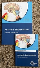 Anatomie - Zeichenblätter