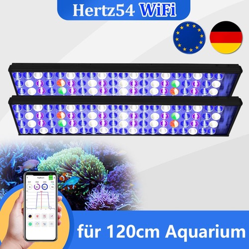 Popbloom meerwasser aquarium - popbloom,