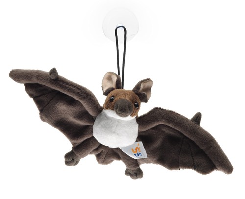 Fledermaus klein braunweiß - ,