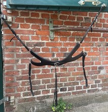 Passier Vorderzeug Auriga