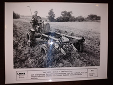 Original Lanz Foto Alldog mit