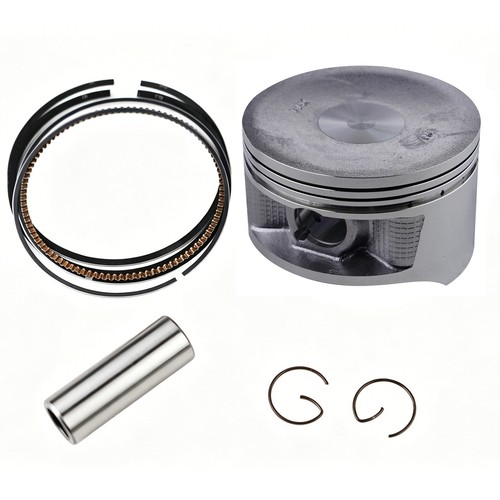 100 25mm oversized piston - 100.25mm,