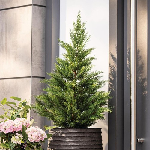 Kunstbaum kunstpflanze - kunstbaum,
