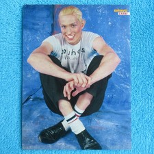 DIE ÄRZTE Sahni Porträt Mini