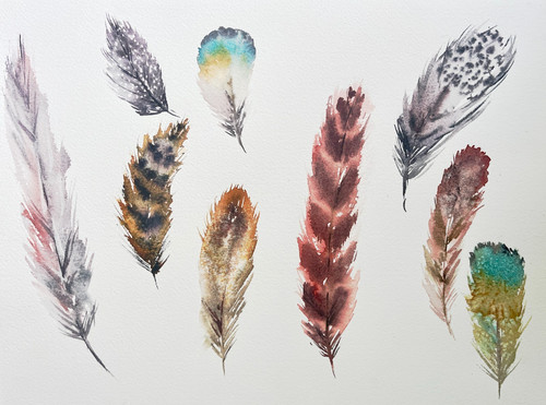 Original feder studie aquarell - original,