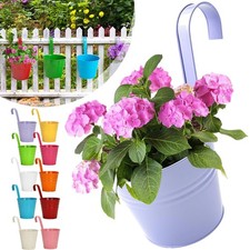 Blumentöpfe Hängend Bunt