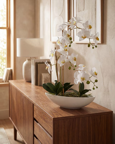 Phalaenopsis kunst orchidee - phalaenopsis,