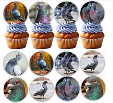 Taube Vogel Taubenschlag