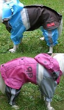 Leichter Hunderegenanzug