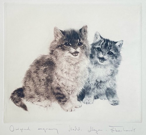 Kurt meyer eberhardt - kurt, •
