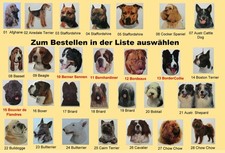 Hundeaufkleber