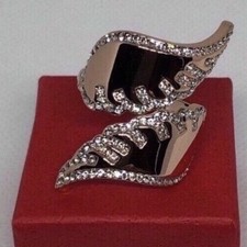 Wunderschöner Flügelring in