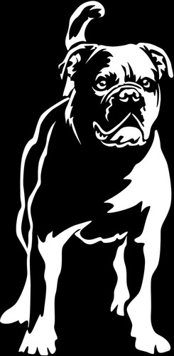 Continental bulldog - continental,
