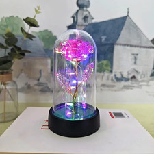 Ewige Rose LED Leuchtfolie